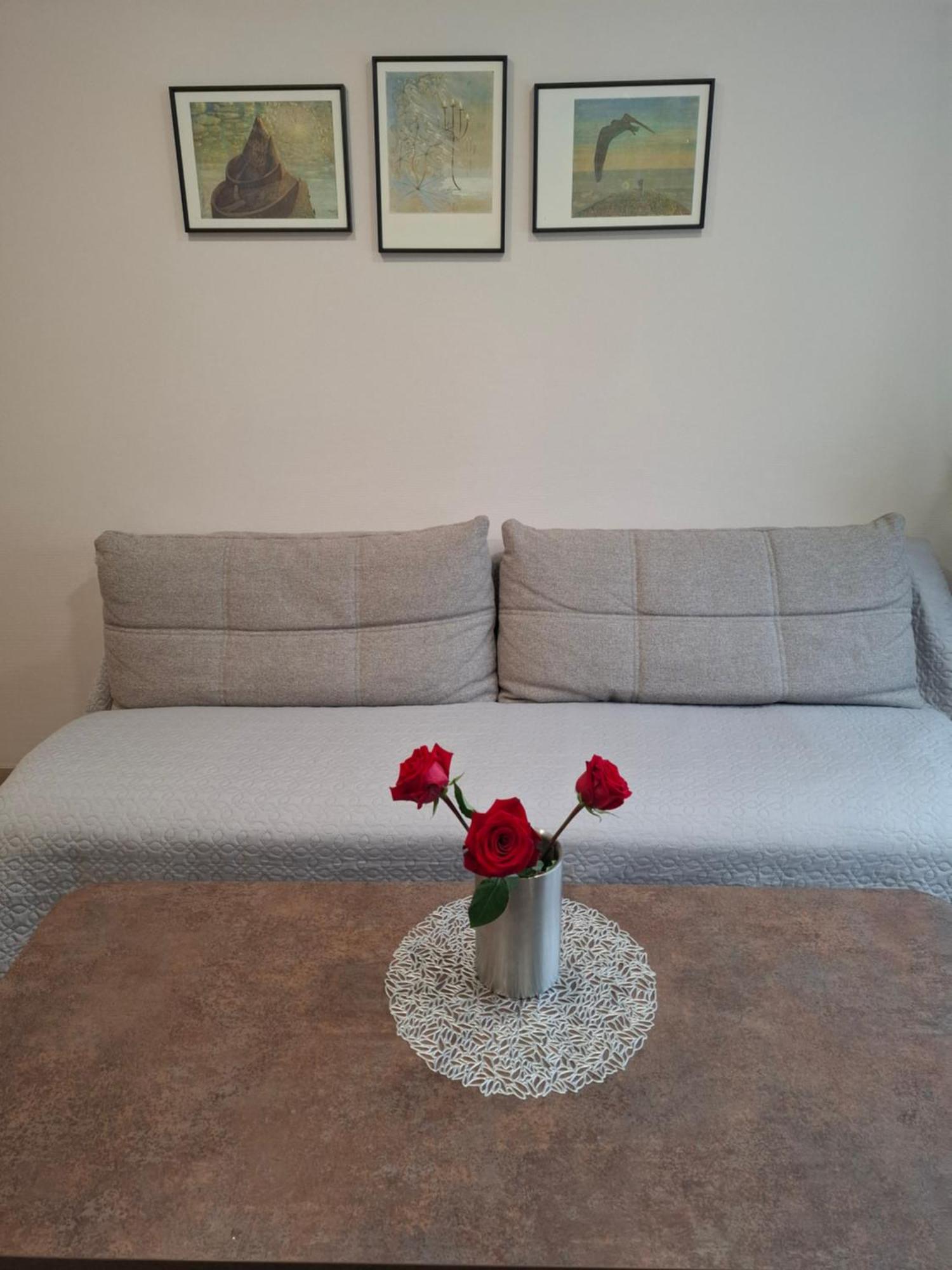 Apartamentai Auris 德拉肯恩凯 外观 照片